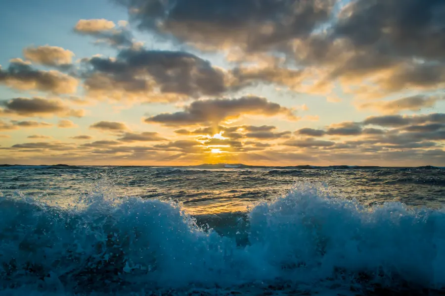 Nature photography