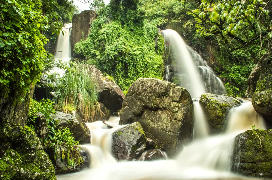 Nature photograph by LdP23
