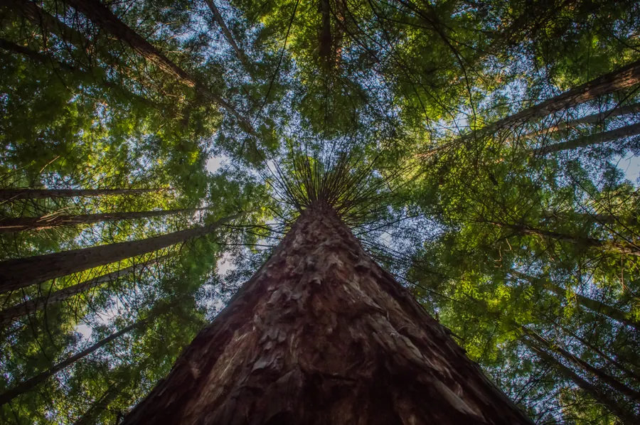 Nature photograph by LdP23